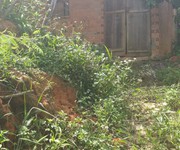 3 Bán đất đang trồng cà phê và bơ