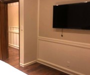 9 Mình chính chủ cho thuê căn hộ Leman Luxury, đường Trương Định, Q.3, 100m2, 3 phòng ngủ và 2 wc