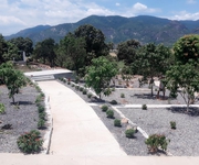 Đất Diện Tích Lớn Thích Hợp Xây Biệt Thự Nghỉ Dưỡng Giá Đầu Tư Đất Diện Tích Lớn Thích Hợp Xây Biệt Thự Nghỉ Dưỡng Giá Đầu Tư