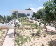 2 Đất Diện Tích Lớn Thích Hợp Xây Biệt Thự Nghỉ Dưỡng Giá Đầu Tư 2 Đất Diện Tích Lớn Thích Hợp Xây Biệt Thự Nghỉ Dưỡng Giá Đầu Tư