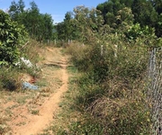 Bán nhanh lô đất rừng thôn khánh xuân,diên lâm đất đã có cây keo sẵng Bán nhanh lô đất rừng thôn khánh xuân,diên lâm đất đã có cây keo sẵng