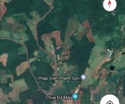 3 Bán nhanh lô đất rừng thôn khánh xuân,diên lâm đất đã có cây keo sẵng 3 Bán nhanh lô đất rừng thôn khánh xuân,diên lâm đất đã có cây keo sẵng