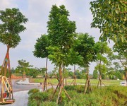 4 Bán đất nền Văn Giang sát Ecopark, sổ đỏ, không bắt xây, vay lãi 0 12 tháng. 108-259m2 4 Bán đất nền Văn Giang sát Ecopark, sổ đỏ, không bắt xây, vay lãi 0 12 tháng. 108-259m2