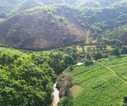 2 Đất trang trại tại Lâm Đồng rộng 4000m2 70 cây sầu riêng lâu năm chỉ 600tr. Sổ hồng riêng. 2 Đất trang trại tại Lâm Đồng rộng 4000m2 70 cây sầu riêng lâu năm chỉ 600tr. Sổ hồng riêng.