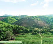 3 Đất trang trại tại Lâm Đồng rộng 4000m2 70 cây sầu riêng lâu năm chỉ 600tr. Sổ hồng riêng. 3 Đất trang trại tại Lâm Đồng rộng 4000m2 70 cây sầu riêng lâu năm chỉ 600tr. Sổ hồng riêng.