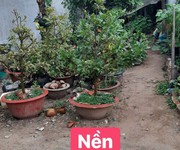 6 Bán nền hẻm nhánh đường Trần Nam Phú  trước là lộ NH , cách MT lộ NH chỉ 30m, thuộc trung tâm phường