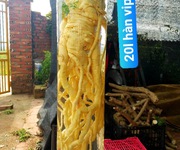Cho thuê văn phòng mặt tiền tôn đức thắng Cho thuê văn phòng mặt tiền tôn đức thắng