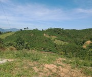 Cần tiền bán gấp 2,6ha cà phê . view ao và suối cực đẹp Cần tiền bán gấp 2,6ha cà phê . view ao và suối cực đẹp