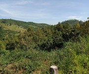 2 Cần tiền bán gấp 2,6ha cà phê . view ao và suối cực đẹp 2 Cần tiền bán gấp 2,6ha cà phê . view ao và suối cực đẹp