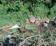 3 Cần tiền bán gấp 2,6ha cà phê . view ao và suối cực đẹp 3 Cần tiền bán gấp 2,6ha cà phê . view ao và suối cực đẹp