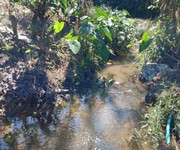 5 Cần tiền bán gấp 2,6ha cà phê . view ao và suối cực đẹp 5 Cần tiền bán gấp 2,6ha cà phê . view ao và suối cực đẹp