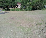 4 Cần tiền bán gấp 2,6ha cà phê . view ao và suối cực đẹp 4 Cần tiền bán gấp 2,6ha cà phê . view ao và suối cực đẹp