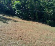7 Cần tiền bán gấp 2,6ha cà phê . view ao và suối cực đẹp 7 Cần tiền bán gấp 2,6ha cà phê . view ao và suối cực đẹp