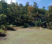 8 Cần tiền bán gấp 2,6ha cà phê . view ao và suối cực đẹp 8 Cần tiền bán gấp 2,6ha cà phê . view ao và suối cực đẹp