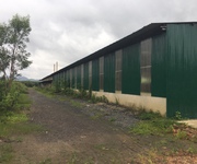Bán nhà xưởng trong diện tích 1,9ha  mặt tiền ĐT725, Đạ Tẻh, Lâm Đồng