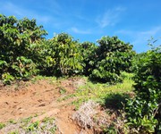 Khu nghỉ dưỡng 8500m2, view nhìn ra thung lũng,Cách trung tâm 10km Khu nghỉ dưỡng 8500m2, view nhìn ra thung lũng,Cách trung tâm 10km