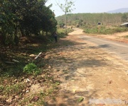 6 Chính chủ cần bán đất trang trại, DT 53000m2 huyện Đắk Tô, Kom Tum.