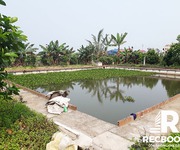 1 Chuyển nhượng đất 03 có sân vườn và ao cá tại Hòa Nghĩa, Dương Kinh, Hải Phòng