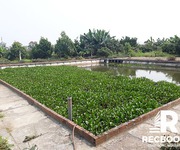4 Chuyển nhượng đất 03 có sân vườn và ao cá tại Hòa Nghĩa, Dương Kinh, Hải Phòng