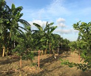2 Cần bán đất vườn bưởi tại xã Tân Bình huyện Vĩnh Cửu, tỉnh Đồng Nai, giá đầu tư