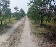 4 Chính chủ cần bán gấp lô đất đẹp ở Xã Vĩnh Lộc B. Huyện Bình chánh. Tp.HCM