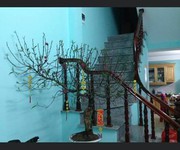 1 Nhà chính chủ nguyên căn tại Định Công Thượng