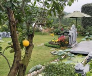 Bán lại khuôn viên mộ phần tại nghĩa trang Thiên Đức Vĩnh hằng viên Bán lại khuôn viên mộ phần tại nghĩa trang Thiên Đức Vĩnh hằng viên