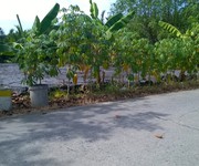 2 Chính Chủ Cho Thuê Mặt Bằng Làm Kho Bãi Nhà Xưởng, Gía 6 triệu/tháng 2 Chính Chủ Cho Thuê Mặt Bằng Làm Kho Bãi Nhà Xưởng, Gía 6 triệu/tháng