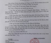 8 Cho thuê nhà nguyên căn tại 74 Nguyễn Minh Hoàng, P.12, Tân Bình, Hồ Chí Minh