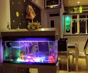 Cho thuê biệt thự rộng 800m2 cạnh skyline và lotte mark giá chỉ 18tr Cho thuê biệt thự rộng 800m2 cạnh skyline và lotte mark giá chỉ 18tr