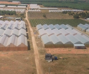 2 Chỉ 610 triệu sở hữu 10.000m2 đất nông trang tại Bắc Bình - Bình Thuận   65,000đ/m2