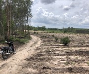 Cần bán lô đất mẫu khu vực Tân Bình, thị xã Lagi