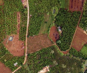 3 Đất view đẹp, đồi cao, có fix nhẹ
