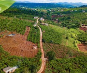 4 Đất view đẹp, đồi cao, có fix nhẹ