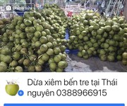 Đặc sản dừa Xiêm Bến Tre chính hiệu