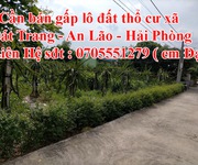 Cần bán gấp lô đất thổ cư xã Bát Trang - An Lão - Hải Phòng