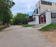 1 Chính  chủ cần bán nhà đất ở xã Hoàng Hoa , huyện Tam Dương , tỉnh Vĩnh Phúc
