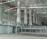 2 Cho thuê nhà xưởng xây mới 2MT 6.000m2 gần Quốc Lộ 1A, Phan Văn Hớn, Tân Thới Nhất, KCN Tân Bình