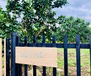 Bán vườn bưởi da xanh tại Định Quán, Đồng Nai giá 600 triệu/1000m2