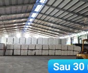 3 Cho thuê kho xưởng đẹp tại Bình Dương DT 5000m2