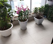 11 Bán gấp căn góc 3pn chung cư Metropolis số 29 Liễu Giai, Ba Đình