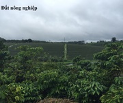 -----Đất nông nghiệp - Bảo Lộc, Lâm Đồng-----