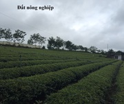 1 -----Đất nông nghiệp - Bảo Lộc, Lâm Đồng-----