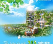 8 Solforest  xanh hơn resort, vui hơn phố