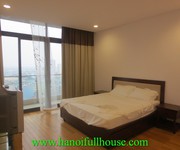 2 Cho thuê căn hộ cao cấp đẹp Dolphin Plaza,Nam Từ Liêm.Diện tích:198m2 -28 Trần Bình