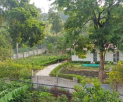 Bán Nhà vườn nghỉ dưỡng du lịch tại Thây Tiên, Tam Đảo, dt 1500m2 giá 2.5ty.