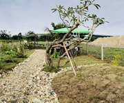 Sở hữu lô đất nền sổ đỏ ven sông Cái , Nha Trang giá hấp dẫn chỉ 785 triệu