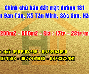 5 Chính chủ bán đất mặt đường 131 Thôn Đan Tảo, Xã Tân Minh, Sóc Sơn, Hà Nội