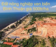 Đất vườn du lịch gần biển giá 600 tr/ha