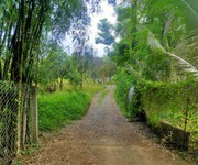 Cần bán đất vườn của gia đình ngay gần cụm công nghiệp Hưng Lộc